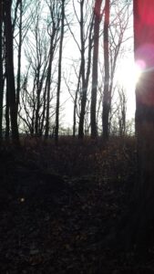 20180324_162557_large