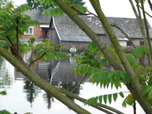 21-jpg_large (1)