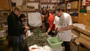 imag1046_large