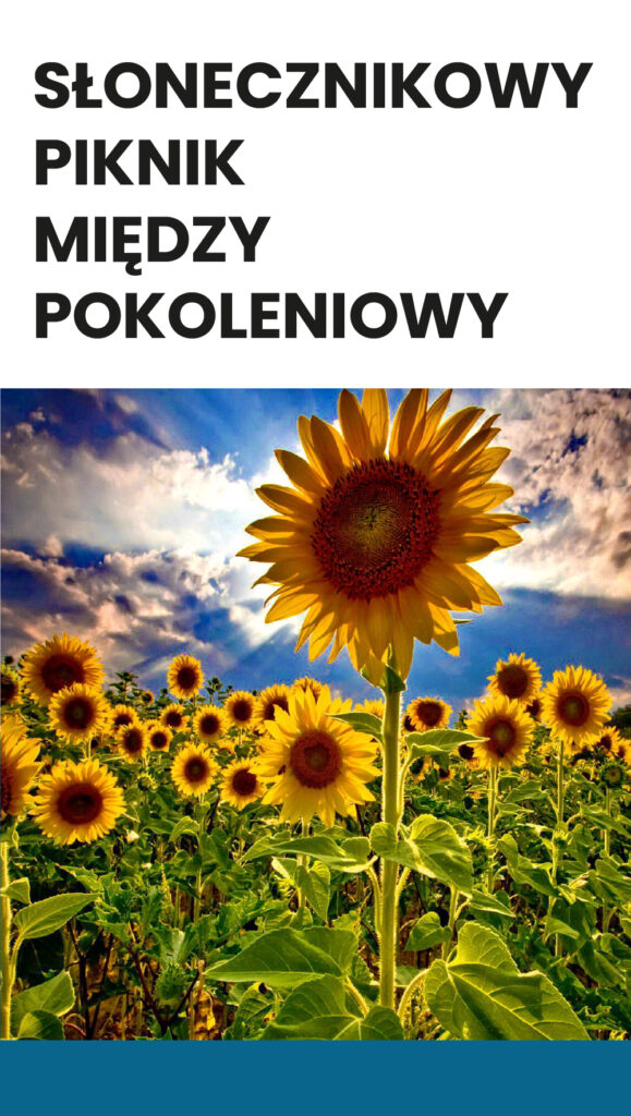 Piknik Słonecznikowy