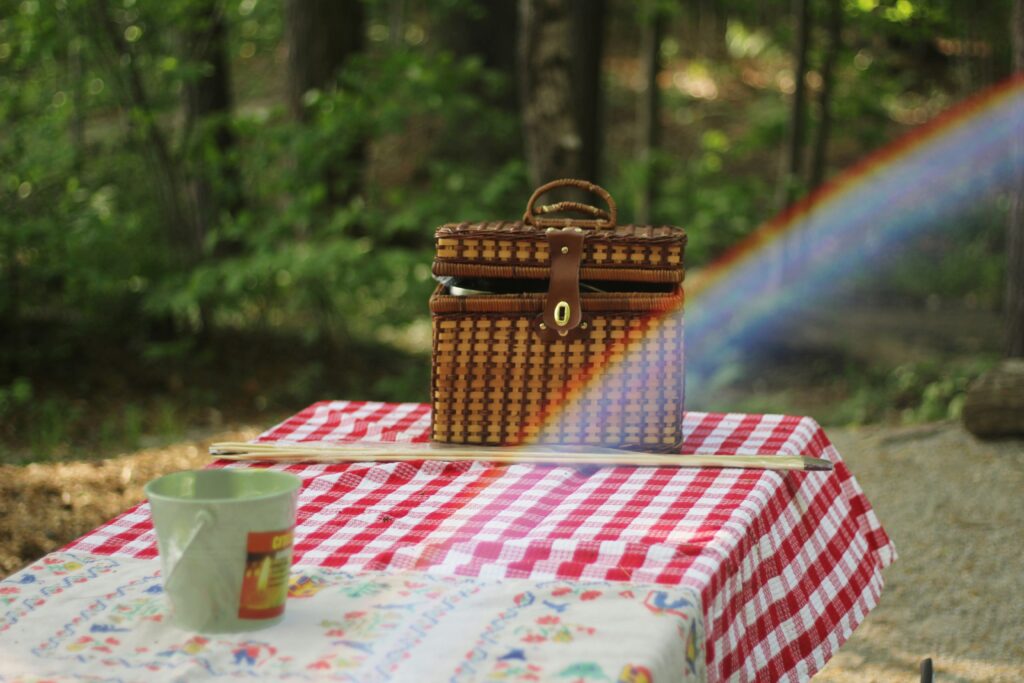Piknik Słonecznikowy